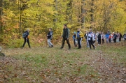 Jesienna wycieczka do lasu – ścieżka dydaktyczna 18.20.2022